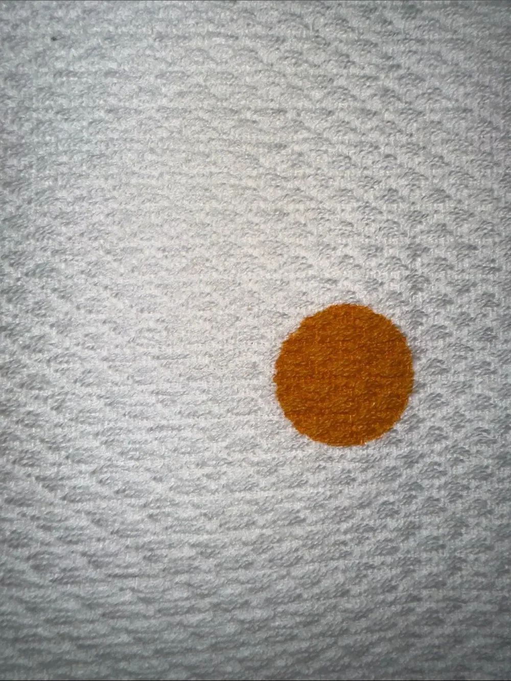 kate spade Coastal White Navy Orange Graphic Large Polka Cotton Kitchen Towels